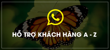 Thiết kế website