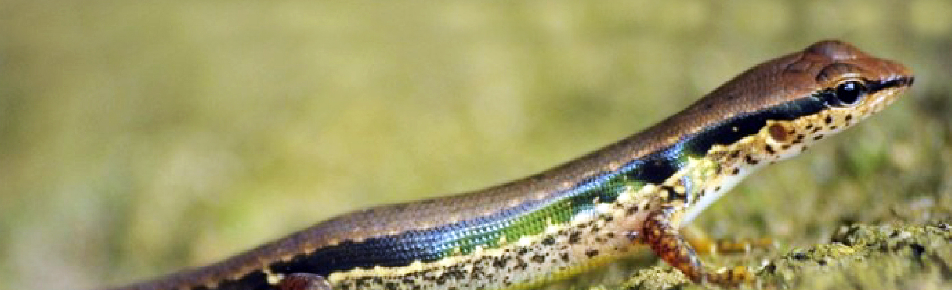 Trang trại côn trùng thành tâm