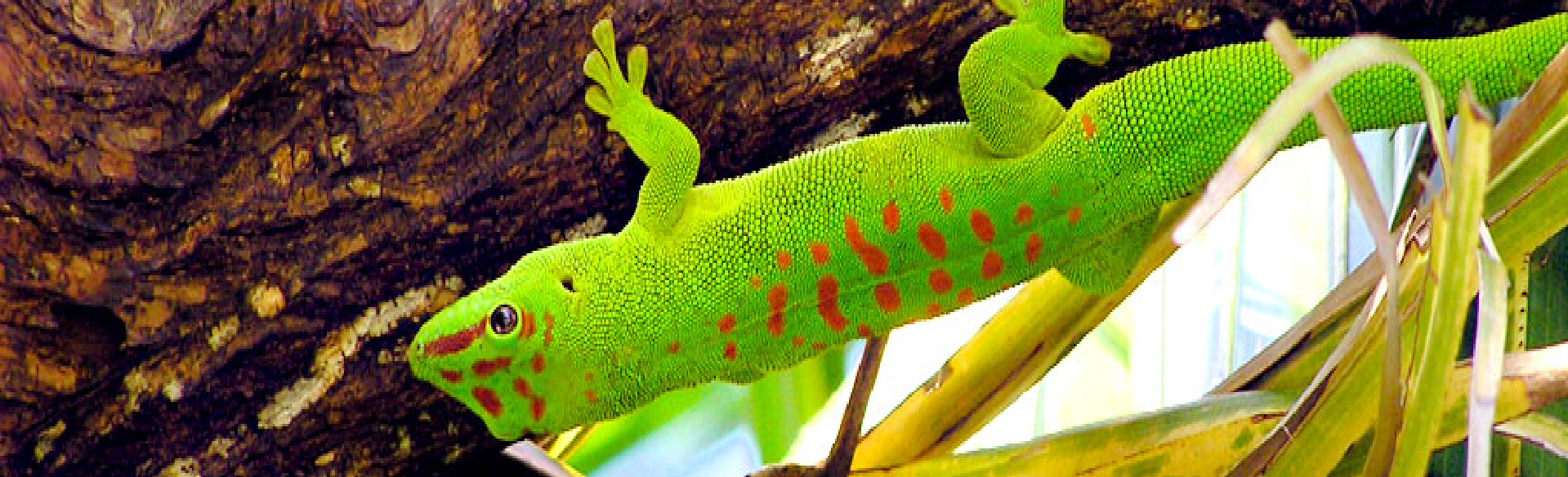 Trang trại côn trùng thành tâm