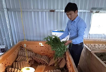 Tỉ phú nhờ nuôi côn trùng sạch